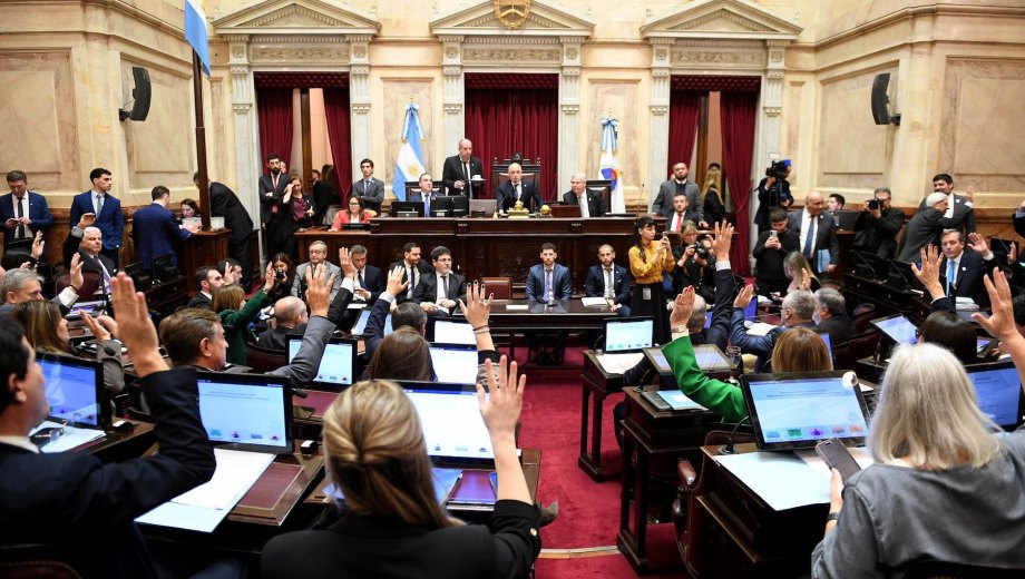 Tras quitar el apartado de extranjerización de tierras, La Libertad Avanza tuvo que desistir de derogar parte de la Ley de Manejo del Fuego. (Foto: prensa Senado)