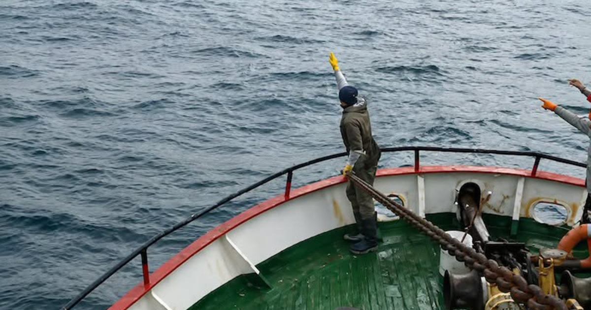 Milagroso rescate de un marinero caído al mar en Santa Cruz