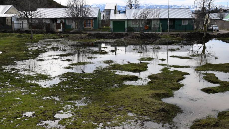 El mallín "El Abrazo" está junto al plan de 112 Viviendas en la zona del Ñireco, en Bariloche. Foto: Archivo/Chino Leiva