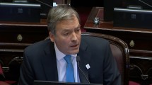 Imagen de Martín Soria cargó contra Sturzenegger durante el debate en el Senado: «Buscan destruir la soberanía por dos monedas» 