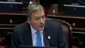 Martín Soria cargó contra Sturzenegger durante el debate en el Senado: «Buscan destruir la soberanía por dos monedas» 