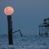 Imagen de Así se vio la Luna de Sangre desde la Patagonia: las postales del último eclipse lunar del 2026