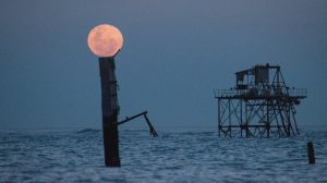 Así se vio la Luna de Sangre desde la Patagonia: las postales del último eclipse lunar del 2026