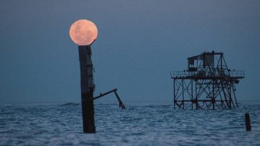 Así se vio la Luna de Sangre desde la Patagonia: las postales del último eclipse lunar del 2026