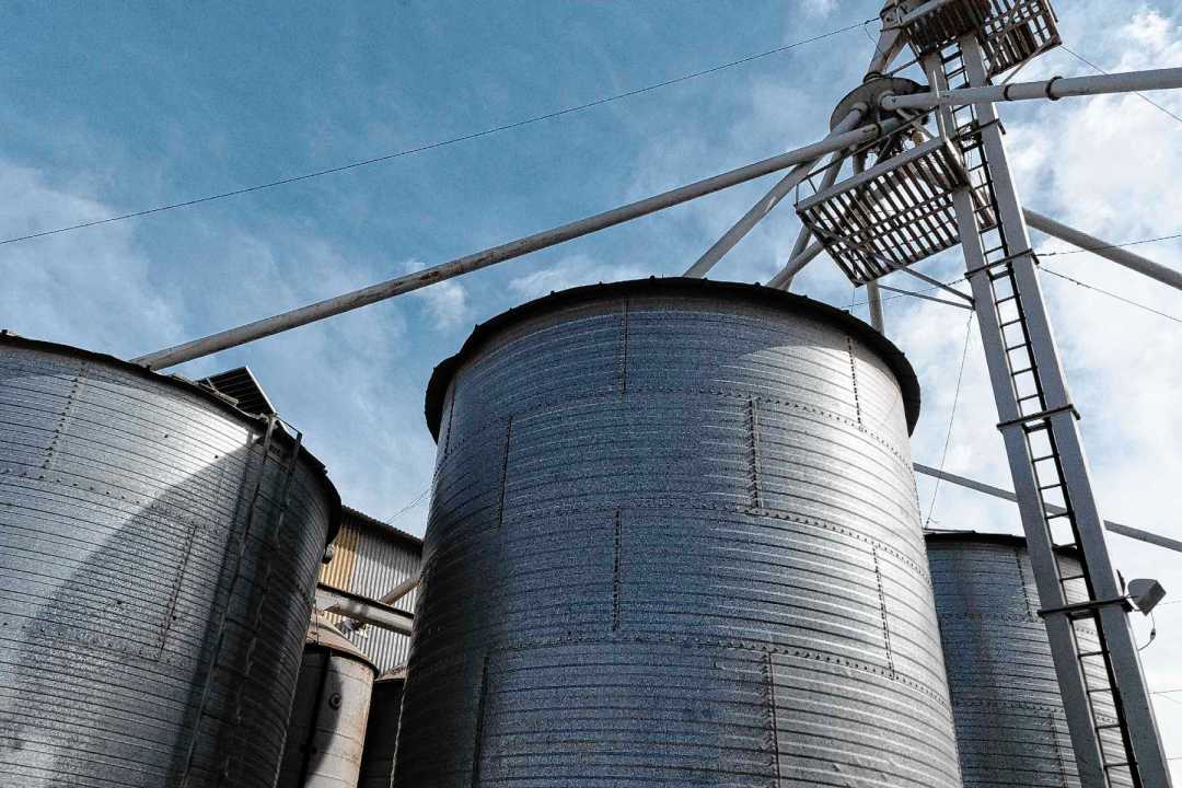 De trabajar a mano a producir 3.500 toneladas para la ganader&iacute;a
