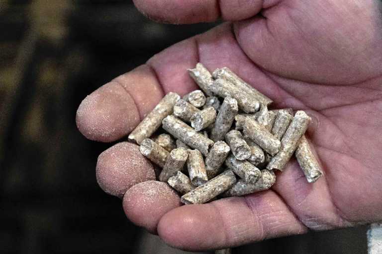 De trabajar a mano a producir 3.500 toneladas para la ganader&iacute;a