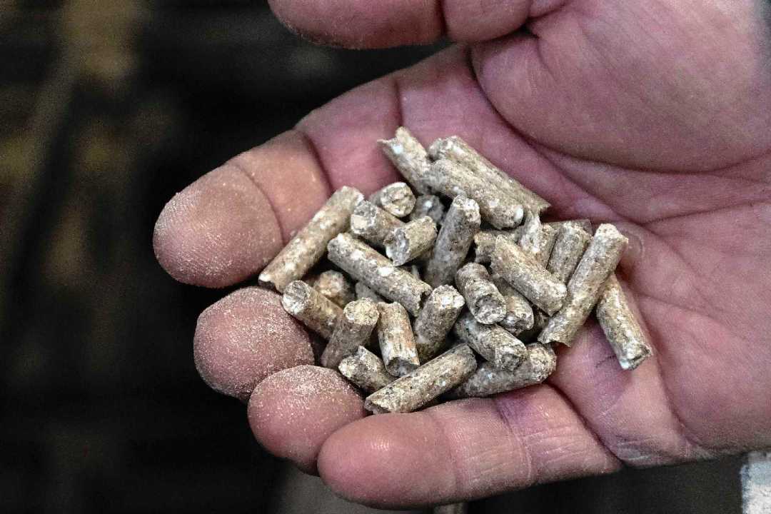 La línea de pelleteados ocupa un lugar importante en la facturación de Agroinsumos Patagónicos.