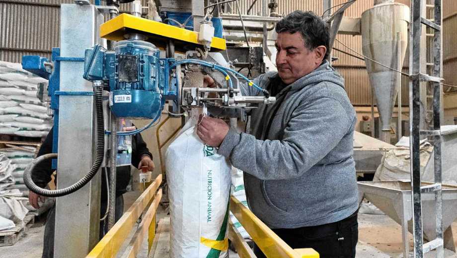 Víctor Lovera, el fundador de la empresa, mostrando el funcionamiento de la línea de envasado en la planta de Neuquén. Foto: Emiliano Ortiz.