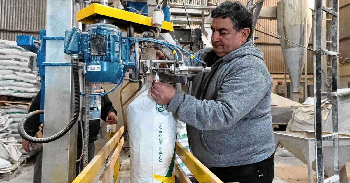 De pequeño emprendimiento a productor destacado de insumos ganaderos en Neuquén