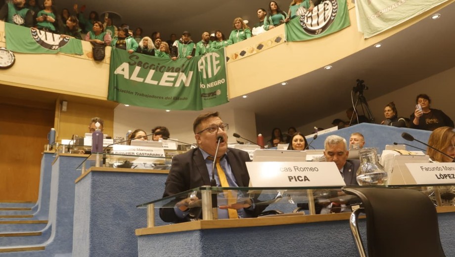 Lucas Pica fue el encargado de presentar el proyecto del ejecutivo. Foto: Pablo Leguizamon.