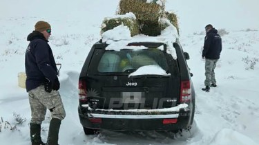 Dramático rescate de una familia varada por la nieve en un paraje de Neuquén