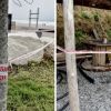 Imagen de Femicidio en Mar del Plata: suman los videos de cámaras de seguridad de la zona donde hallaron el cuerpo