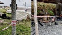 Imagen de Femicidio en Mar del Plata: suman los videos de cámaras de seguridad de la zona donde hallaron el cuerpo