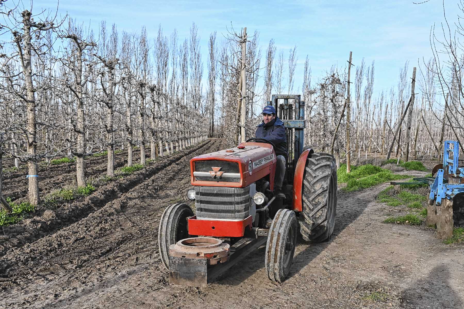 De crisis a sustentabilidad: chacra frutal en General Roca se transforma