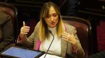 Imagen de Ley de Tierras | «¿Me van a dejar sin votar por estar embarazada?»: el reclamo de Fernández Sagasti al Senado