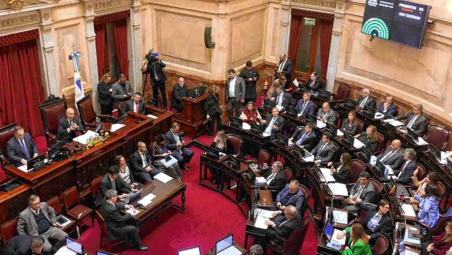 El Senado avanzó en la ley de inviolabilidad de la propiedad privada (Foto: archivo)