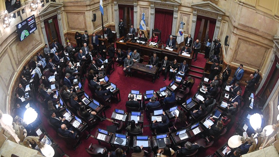 Senado de la Nación. (Fotos: Charly Diaz Azcue / Comunicacion Senado)