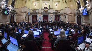 Sin el capítulo de Tierras, el Senado vota la aprobación en general del proyecto de Propiedad Privada