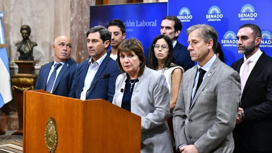 El Senado cambia las reglas para Milei. Foto: NA 