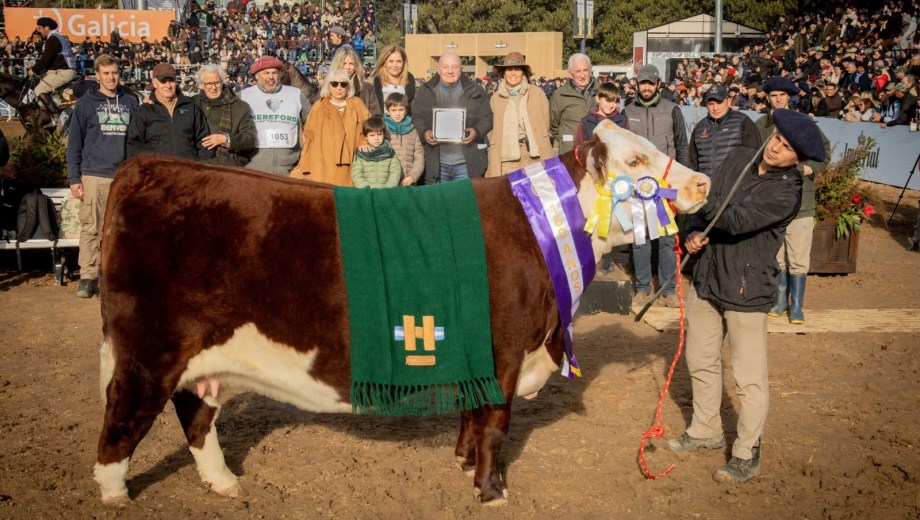 Participación de cabaña Jotace en Palermo 2026.