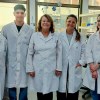Imagen de Un test rápido y económico para detectar el dengue: las claves del nuevo desarrollo de científicos del Conicet