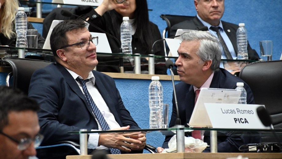 Lucas Pica y Facundo López fueron los autores de la iniciativa que se aprobó en segunda vuelta. Foto: Marcelo Ochoa.