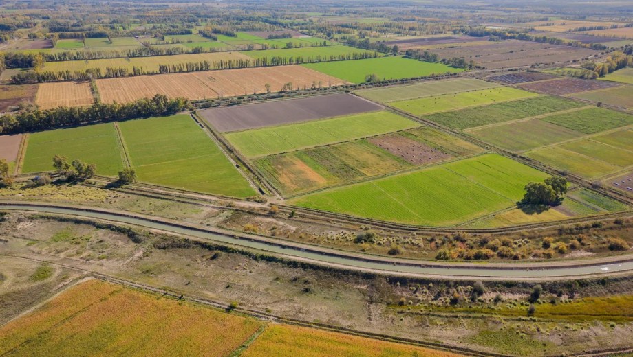 Las inversiones que proyecta el Idevi en su 65° aniversario para potenciar la producción. Foto: gentileza.