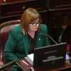 Imagen de Propiedad privada: Sagasti y Fama quedaron sin participación virtual en una sesión clave del Senado