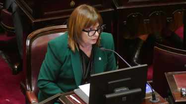 Propiedad privada: Sagasti y Fama quedaron sin participación virtual en una sesión clave del Senado