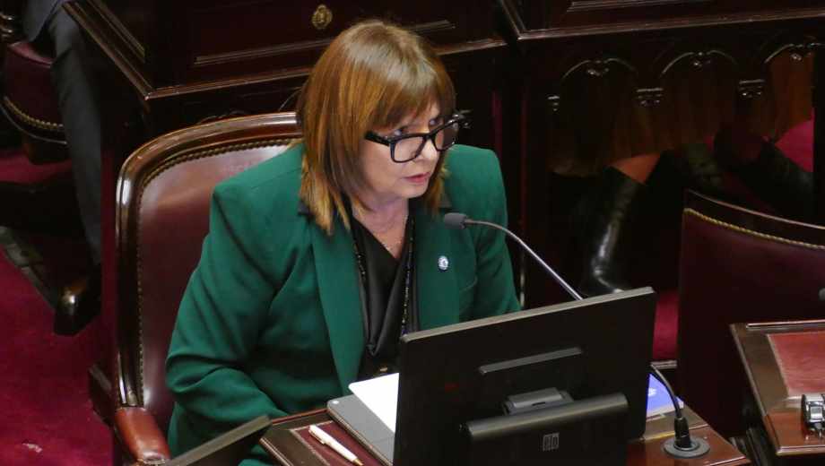 Patricia Bullrich. Foto: Enrique García Medina