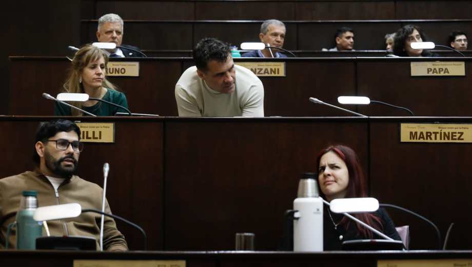 El bloque de izquierda fue el único que se opuso a la reglamentación. Habían votado en contra de la ley cuando se sancionó. Foto Emiliano Ortiz.