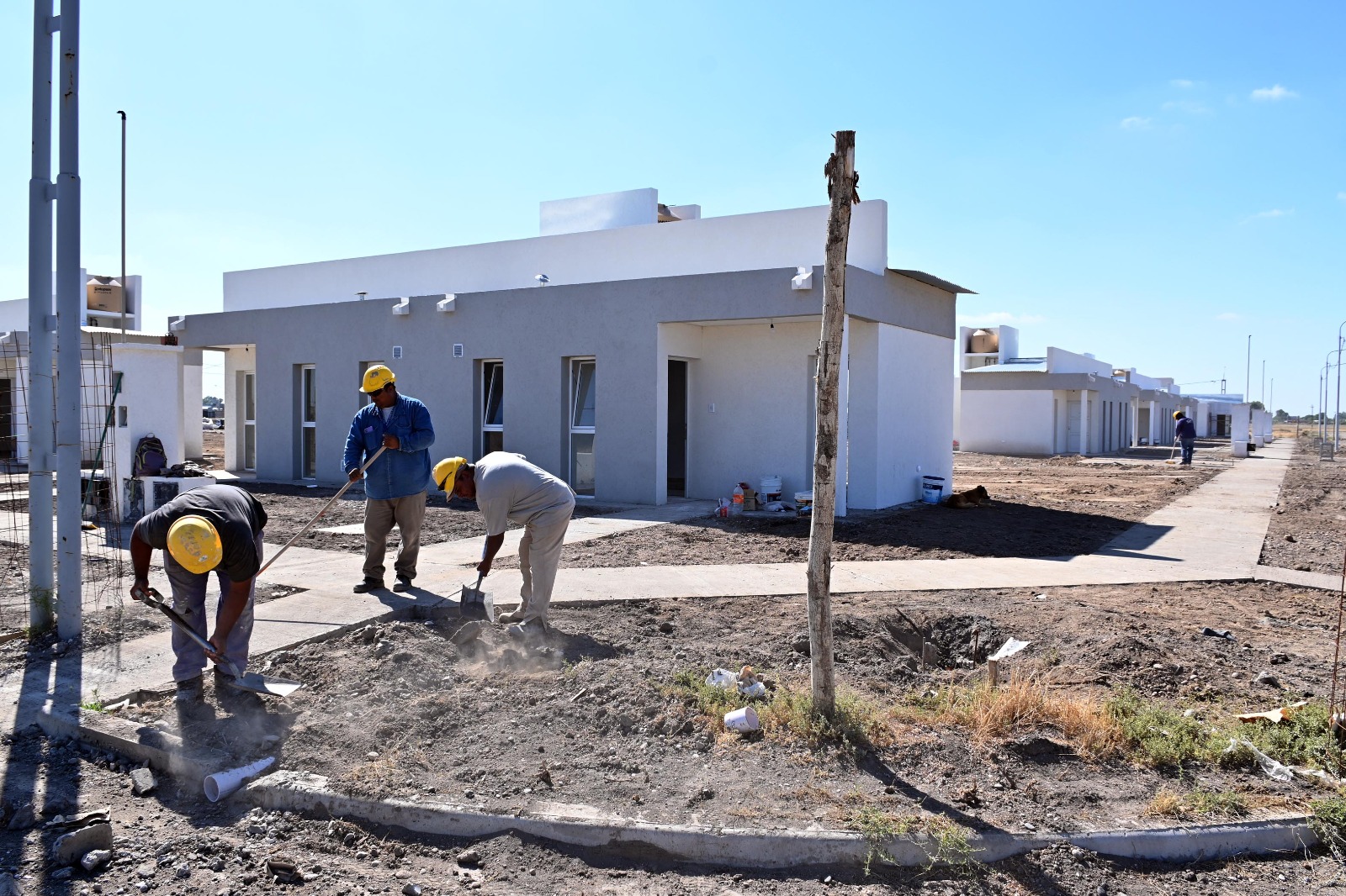 El cooperativismo en Río Negro genera $279.000 millones y abarca múltiples sectores