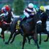 Imagen de Luto en el turf sudamericano: murió el jockey Leandro Henrique tras caerse de su caballo en plena competencia