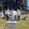 Imagen de El impacto del invierno en las abejas: especialistas del INTA Bariloche capacitan a productores locales