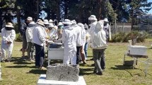 Imagen de El impacto del invierno en las abejas: especialistas del INTA Bariloche capacitan a productores locales