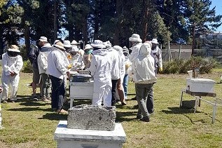El impacto del invierno en las abejas: especialistas del INTA Bariloche capacitan a productores locales
