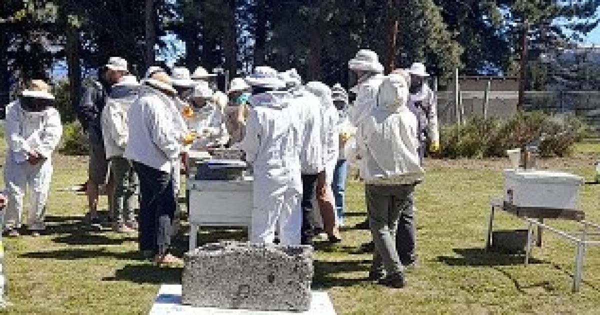 Capacitación de apicultores sobre el impacto del invierno en Bariloche