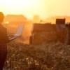 Imagen de Banco Nación amplía su financiamiento al campo: la cartera agropecuaria alcanzó los $4,5 billones con tasas desde el 18%