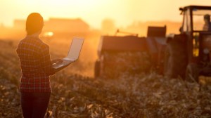 Banco Nación amplía su financiamiento al campo: la cartera agropecuaria alcanzó los $4,5 billones con tasas desde el 18%