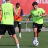 Imagen de ¡Reapareció Julián Álvarez! El argentino volvió a entrenarse con el Atlético de Madrid