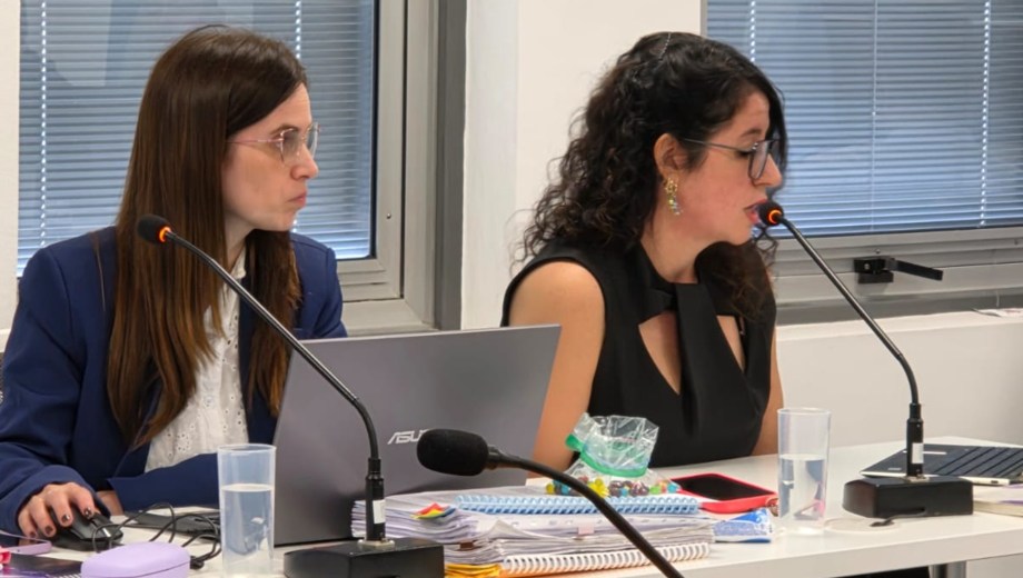 Tras los alegatos finales de las partes, el tribunal dará a conocer su decisión la próxima semana en Viedma.
