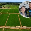 Imagen de Pasaron la pandemia en un tráiler en una chacra de la Patagonia y la transformaron: hoy producen 18.000 kilos de alfalfa por hectárea