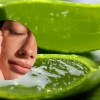 Imagen de Cómo usar aloe vera en la cara para aprovechar todos sus beneficios sin dañar la piel