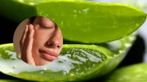 Imagen de Cómo usar aloe vera en la cara para aprovechar todos sus beneficios sin dañar la piel