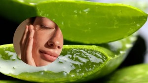 Cómo usar aloe vera en la cara para aprovechar todos sus beneficios sin dañar la piel