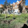 Imagen de De jardín a bosque urbano: el Paseo del Bicentenario de Viedma empieza a cambiar su paisaje