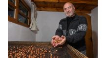 Imagen de Llegó desde Buenos Aires, aprendió sobre la marcha y terminó apostando por el fruto seco estrella de la chocolatería