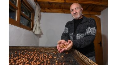 Llegó desde Buenos Aires, aprendió sobre la marcha y terminó apostando por el fruto seco estrella de la chocolatería