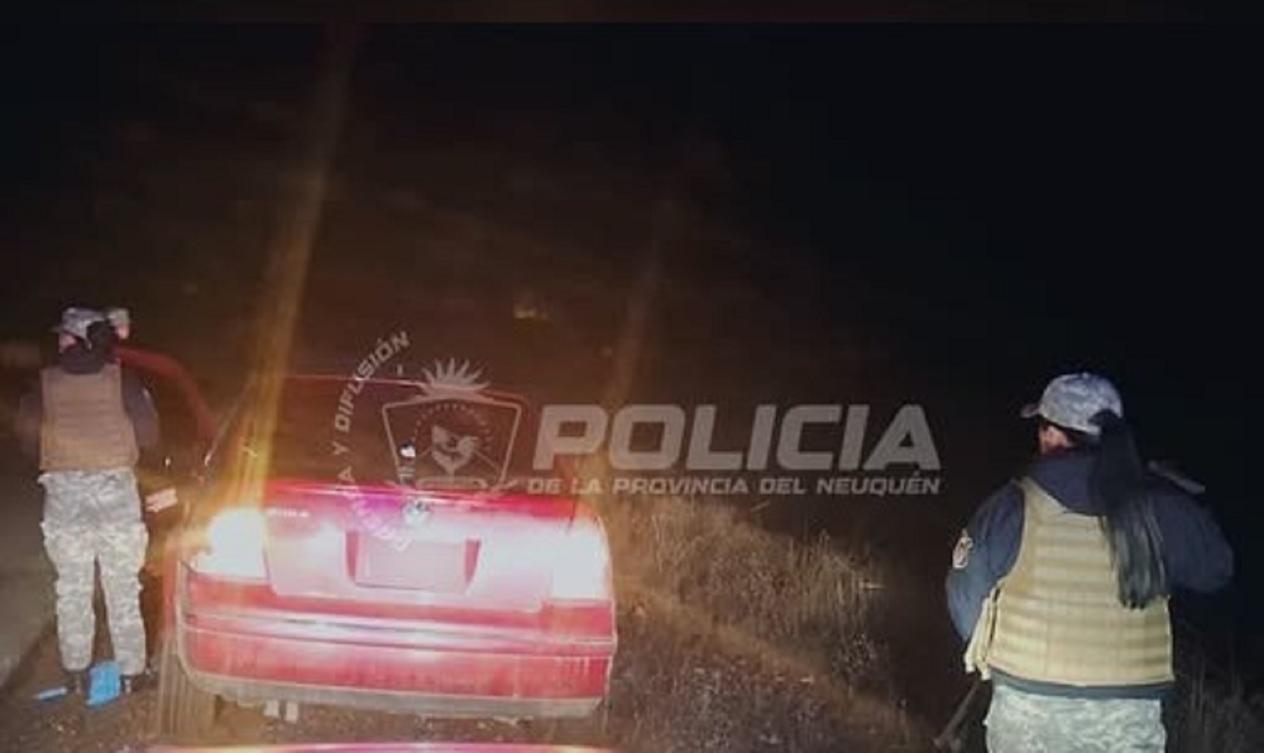 Detenido por abigeato en Neuquén con restos de ganado en la Ruta 40