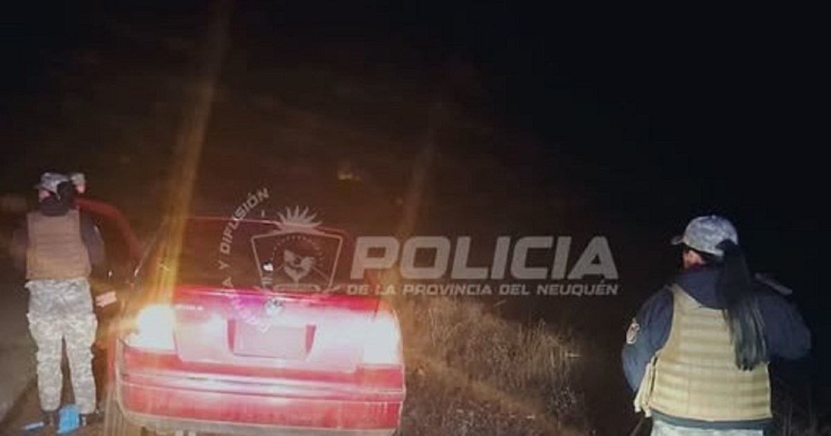 Detenido por abigeato en Neuquén con restos de ganado en la Ruta 40